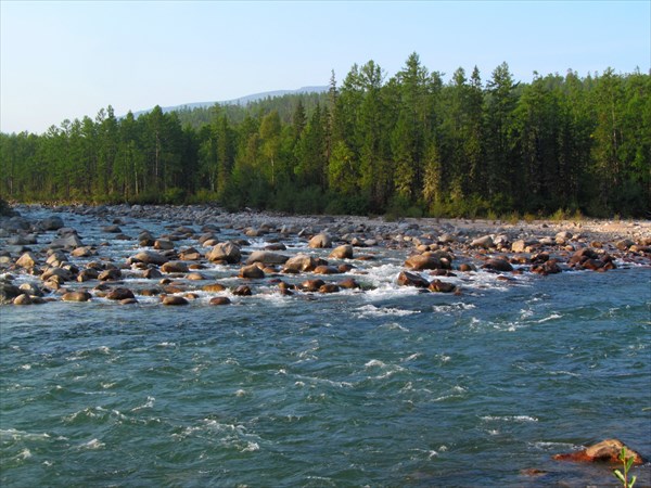 Устье реки Горбылок Муйский